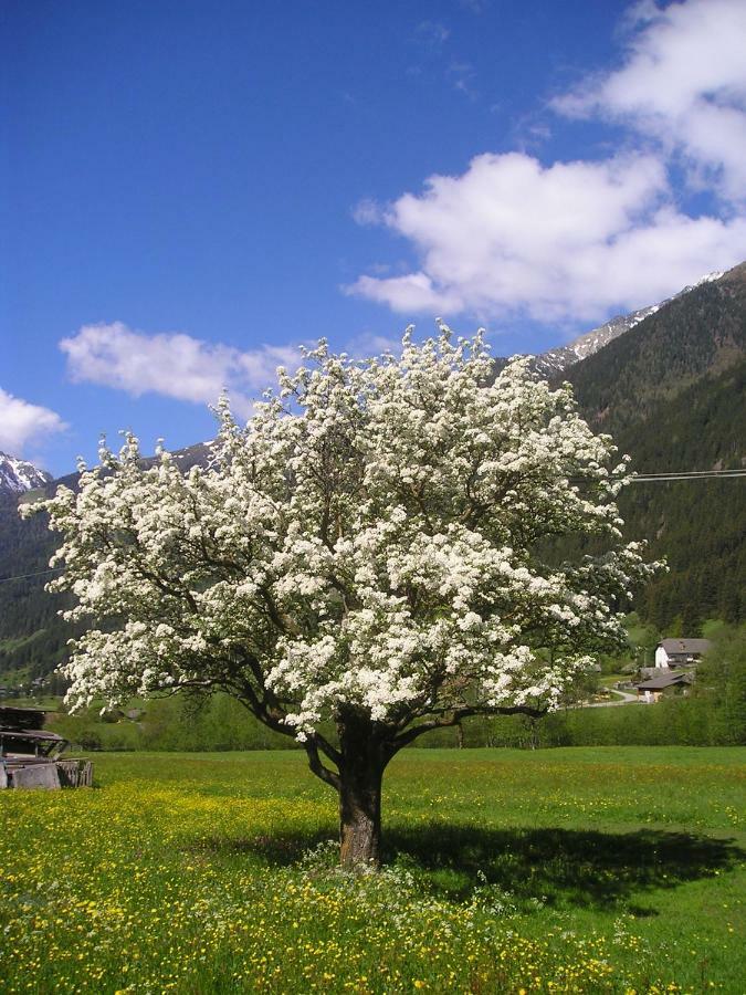 Villa Müllerhof Anterselva di Mezzo Exterior foto