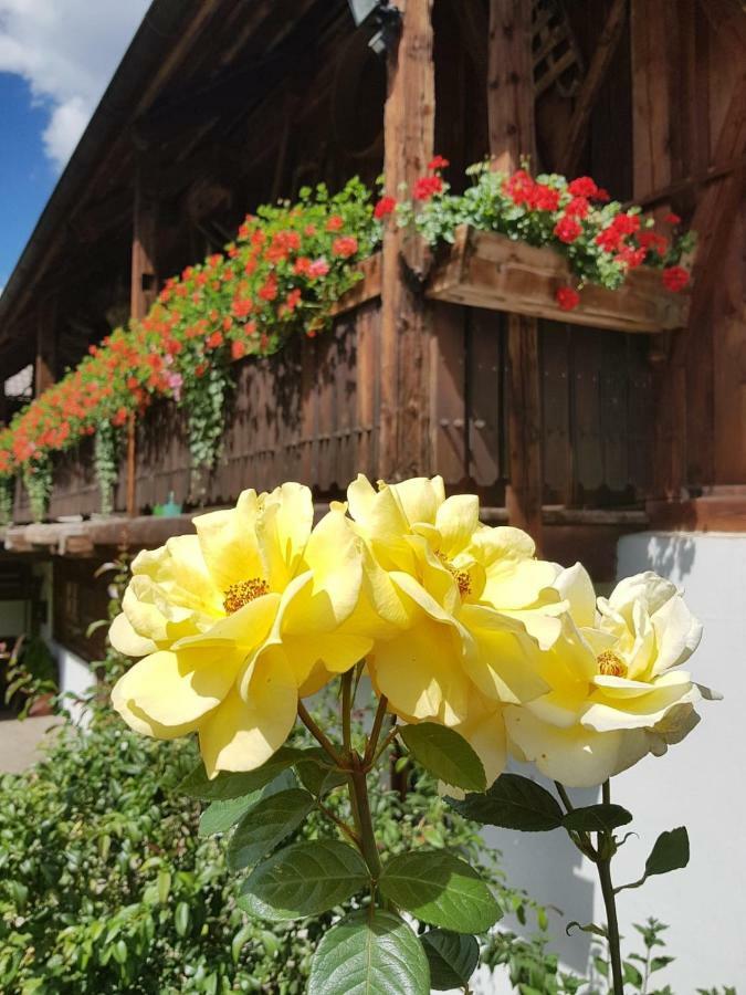 Villa Müllerhof Anterselva di Mezzo Exterior foto